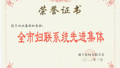 喜報！興業(yè)集團婦委會榮獲“全市婦聯(lián)系統(tǒng)先進集體”榮譽稱號